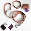 Brown Dog Leash
